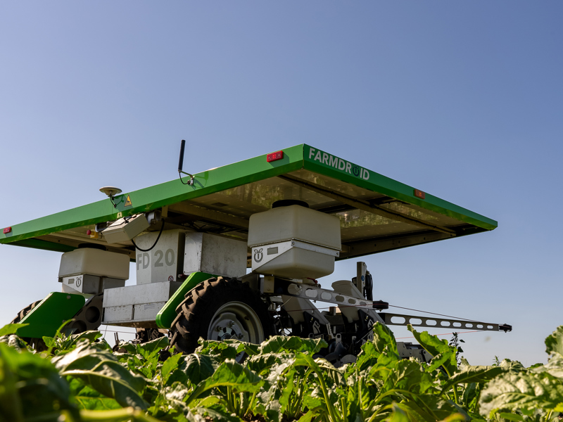 Are alternative weed control techniques viable?